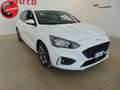 Ford Focus 1.0 EcoBoost 125 CV 5p. ST-Line Bianco - thumbnail 2