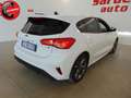 Ford Focus 1.0 EcoBoost 125 CV 5p. ST-Line Bianco - thumbnail 10
