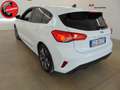 Ford Focus 1.0 EcoBoost 125 CV 5p. ST-Line Bianco - thumbnail 11