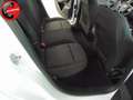 Ford Focus 1.0 EcoBoost 125 CV 5p. ST-Line Bianco - thumbnail 7