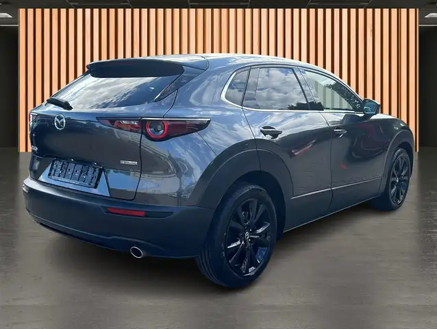 Mazda CX-30 view 25