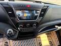 Iveco Daily 35C14H 3-Seiten-Kipper Weiß - thumbnail 13