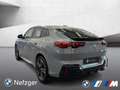 BMW X2 sDrive20i M Sport Park-Assistent HUD LED Grau - thumbnail 3