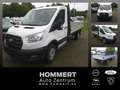 Ford Transit Pritsche EK 350 L3 Trend AHK*SHZ*KLIMA Blanco - thumbnail 1
