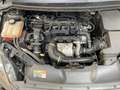 Ford Focus Tdci Nero - thumbnail 6