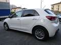 Kia Rio Rio 1.2 MPI Evolution * 114.000 KM REALI * Weiß - thumbnail 6