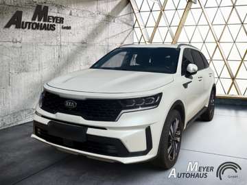 1.6T PHEV AWD PLATINUM+Bose Surround Sound-System