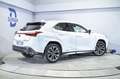 Lexus UX 250h F Sport 2WD Gris - thumbnail 5