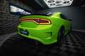 Dodge Charger 5.7 V8 HEMI R/T DAYTONA Performance Grün - thumbnail 16