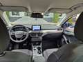 Ford Focus Titanium Turnier 150PS Autom. GJR|B&O|Navi Bleu - thumbnail 7