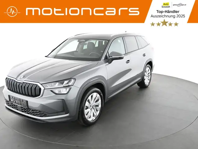 2026 Skoda Kodiaq in Grey for sale