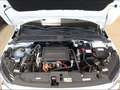 Opel Corsa-e Elegance 11KW-Charger Park & Go Komfort-Paket Allw Weiß - thumbnail 14