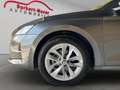Skoda Octavia 1.5 TSI mHEV Selection*AHK* Grau - thumbnail 2