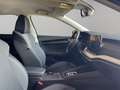 Skoda Octavia 1.5 TSI mHEV Selection*AHK* Grau - thumbnail 15