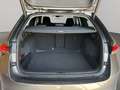 Skoda Octavia 1.5 TSI mHEV Selection*AHK* Grau - thumbnail 9