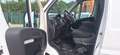 Fiat Ducato 2,3 CC MJT 120 CV PASSO CORTO TETTO BASSO CH1 Bianco - thumbnail 6