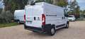 Fiat Ducato 2,3 CC MJT 120 CV PASSO CORTO TETTO BASSO CH1 Bianco - thumbnail 3