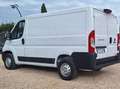 Fiat Ducato 2,3 CC MJT 120 CV PASSO CORTO TETTO BASSO CH1 Bianco - thumbnail 4