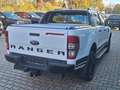 Ford Ranger Stormtrak 2,0 Doka 4x4 el. Rollo AHK3,5t Alb - thumbnail 5