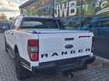 Ford Ranger Stormtrak 2,0 Doka 4x4 el. Rollo AHK3,5t Alb - thumbnail 8
