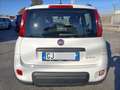 Fiat Panda 1.0 FireFly S&S Hybrid City Life PREZZO REALE!! Bianco - thumbnail 6