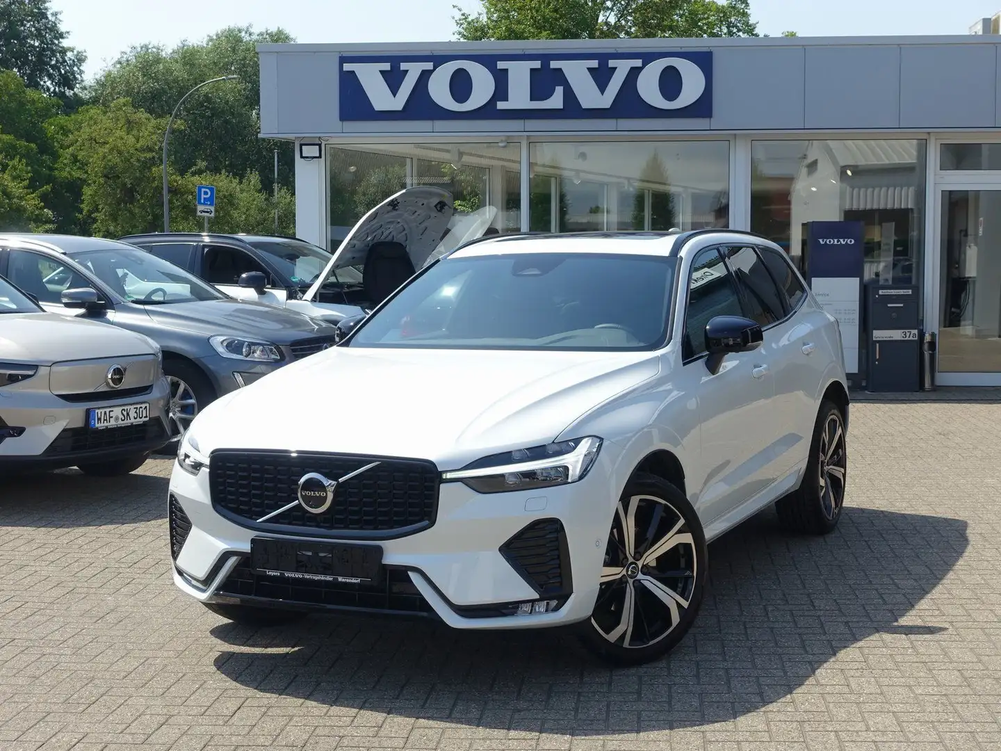 Volvo XC60 B5 AWD Plus Dark/360°Cam/Pano/Fronschhz. Weiß - 1