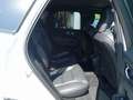Volvo XC60 B5 AWD Plus Dark/360°Cam/Pano/Fronschhz. Weiß - thumbnail 10