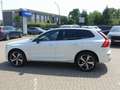 Volvo XC60 B5 AWD Plus Dark/360°Cam/Pano/Fronschhz. Weiß - thumbnail 5
