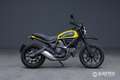 Ducati Scrambler Flat Track Pro Beige - thumbnail 4