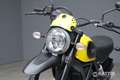 Ducati Scrambler Flat Track Pro Beige - thumbnail 6