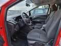 Ford C-Max 7 1.5 tdci 120cv Business  7 posti - FM431BL Rosso - thumbnail 11