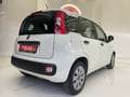 Fiat Panda 1.2 Pop 69cv - thumbnail 6