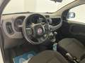 Fiat Panda 1.2 Pop 69cv - thumbnail 11