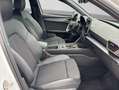 CUPRA Leon 2.0 TDI DSG FACELIFT SUPER-S PARKLENK ALARM Weiß - thumbnail 4