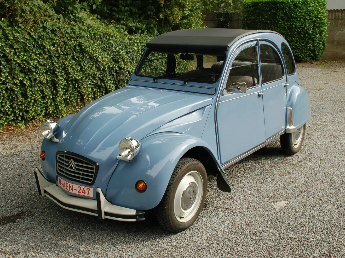 Citroen 2CV Bleu - 2