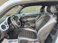 Volkswagen Beetle 1.6 CR TDi Design/coccinelle//CLIM/CRUISE/GARANTIE Blau - thumbnail 10