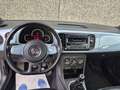 Volkswagen Beetle 1.6 CR TDi Design/coccinelle//CLIM/CRUISE/GARANTIE Blau - thumbnail 14