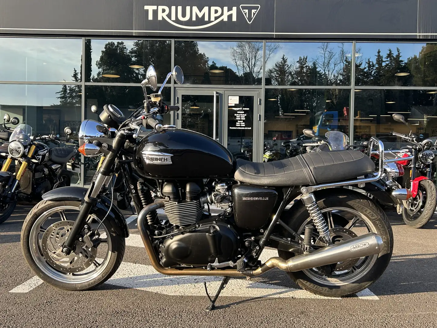 Triumph - 2