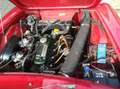 Innocenti Sonstige 950 spider Rot - thumbnail 4