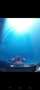 Volkswagen Touran 1.4 TSI United - thumbnail 17