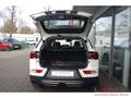 SsangYong Korando Bliss 1.5 AT Navi SHZ Temp Tel.-Vorb. PDC Regensen Weiß - thumbnail 6