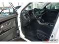 SsangYong Korando Bliss 1.5 AT Navi SHZ Temp Tel.-Vorb. PDC Regensen Weiß - thumbnail 10