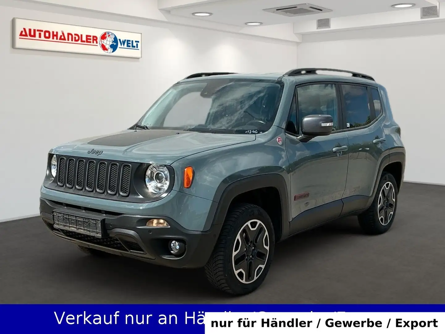Jeep Renegade 2.0 D Trailhawk Auto. 4WD Navi SHZ Grau - 1