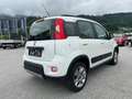 Fiat Panda 4x4 Weiß - thumbnail 4