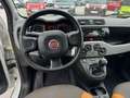 Fiat Panda 4x4 Weiß - thumbnail 7