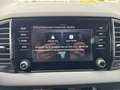 Skoda Karoq Sportline 1.5 DSG_Matrix_Canton_360Grad_AHK Grau - thumbnail 18