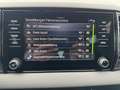 Skoda Karoq Sportline 1.5 DSG_Matrix_Canton_360Grad_AHK Grau - thumbnail 13