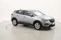 Opel Grandland X Business Edition 1.5 Diesel 131CV Grigio - thumbnail 7