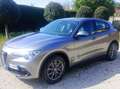 Alfa Romeo Stelvio Stelvio 2.2 t Executive rwd 180cv auto Grau - thumbnail 17