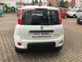 Fiat Panda MY24 Hyb. 1.0 GSE Bluetooth, Einparkh. Bianco - thumbnail 7